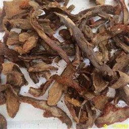骨碎補精品中藥材批發零售 產地云南，規格齊全